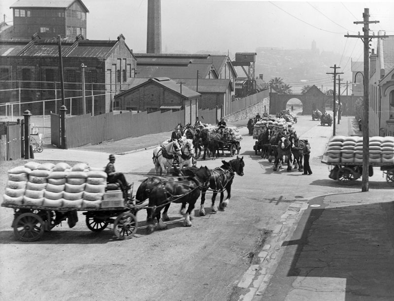 Horses and wagons up Jones St into John St 1920s
