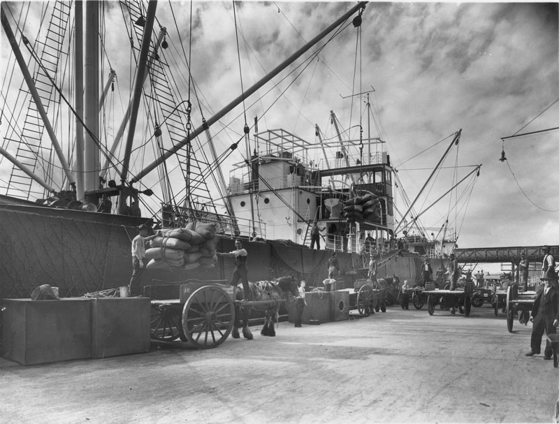 Discharging raw sugar from SS Rona at the CSR wharf, September 1935