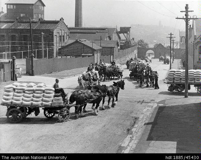 Horse teams going up and down Jones Street 1920s